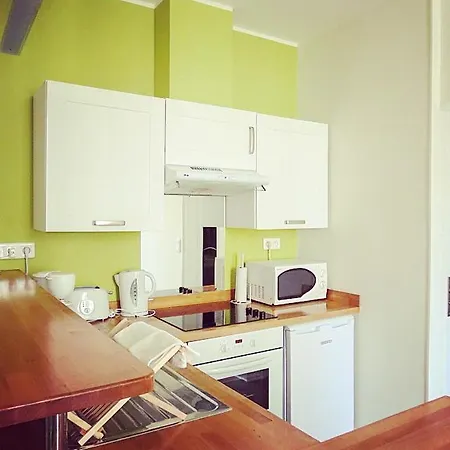 Barla 3 - A Spacious One Bedroom Near Place Garibaldi Apartment Nice