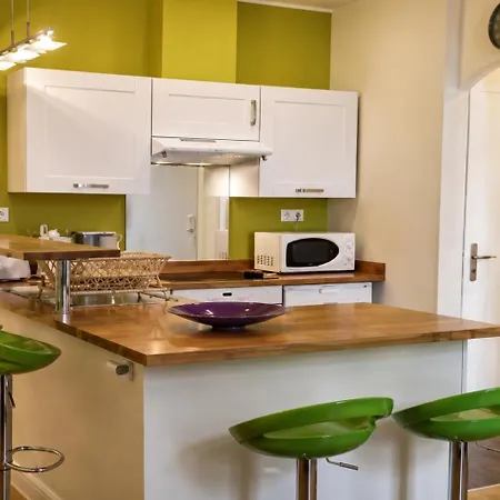 Barla 3 - A Spacious One Bedroom Near Place Garibaldi 公寓 尼斯
