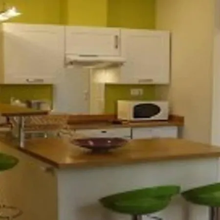 公寓 Barla 3 - A Spacious One Bedroom Near Place Garibaldi 尼斯